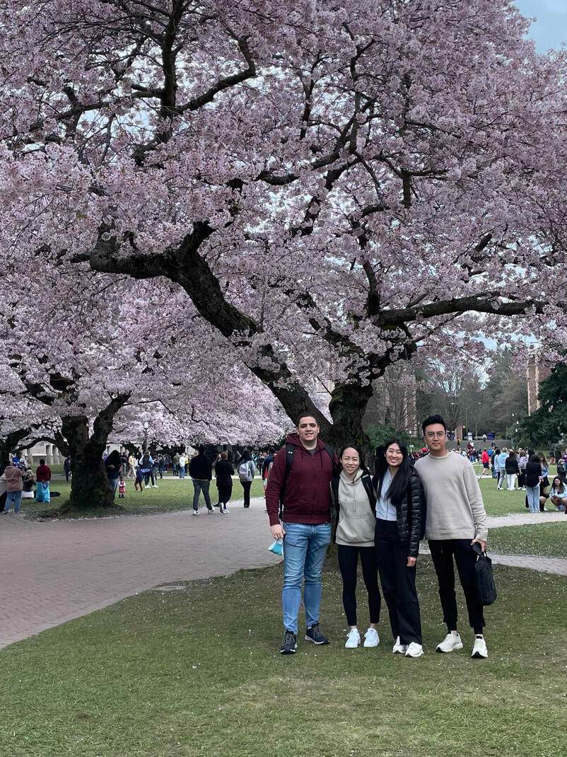 Dog Pack visiting UW Quad cherry blossoms